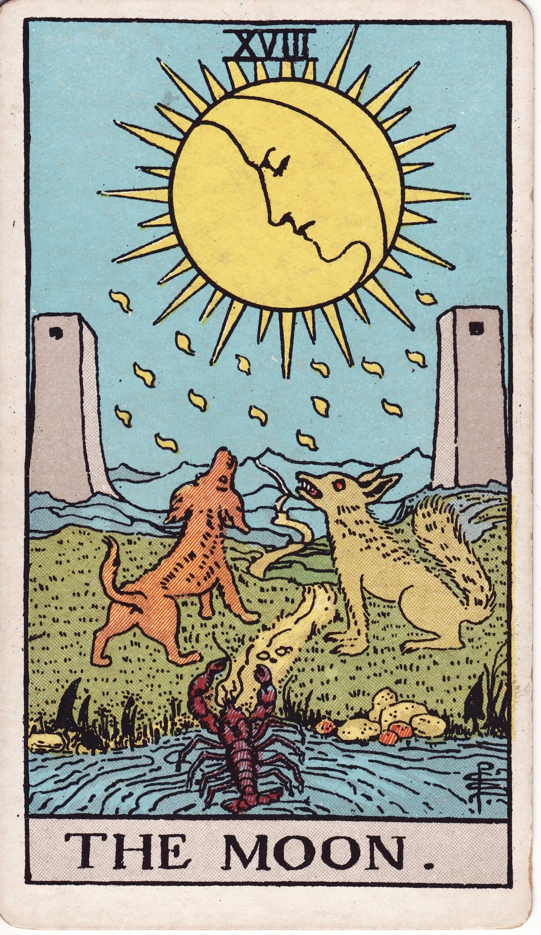 Tarot Skirt